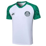 Maillot Entrainement Palmeiras 2023-24 Blanc Vert Maillot Entrainement Palmeiras 2023-24 Blanc Vert
