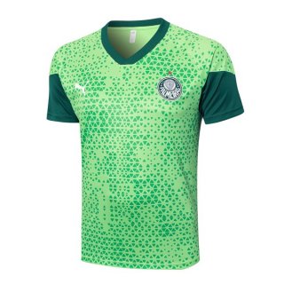 Maillot Entrainement Palmeiras 2024-25 Vert