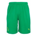 Pantalon West Brom 2ª 2022-23 Pantalon West Brom 2ª 2022-23