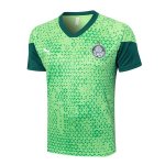 Maillot Entrainement Palmeiras 2024-25 Vert Maillot Entrainement Palmeiras 2024-25 Vert
