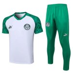 Maillot Palmeiras Ensemble Complet 2023-24 Blanc Vert Maillot Palmeiras Ensemble Complet 2023-24 Blanc Vert