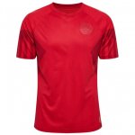 Thailande Maillot Denmark 1ª 2022-23 Rouge Thailande Maillot Denmark 1ª 2022-23 Rouge