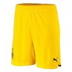 Pantalon Borussia Dortmund 2ª 2021-22 Jaune Pantalon Borussia Dortmund 2ª 2021-22 Jaune