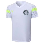 Maillot Entrainement Palmeiras 2023-24 Blanc Maillot Entrainement Palmeiras 2023-24 Blanc